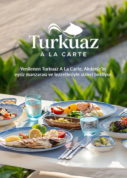 Turkuaz
