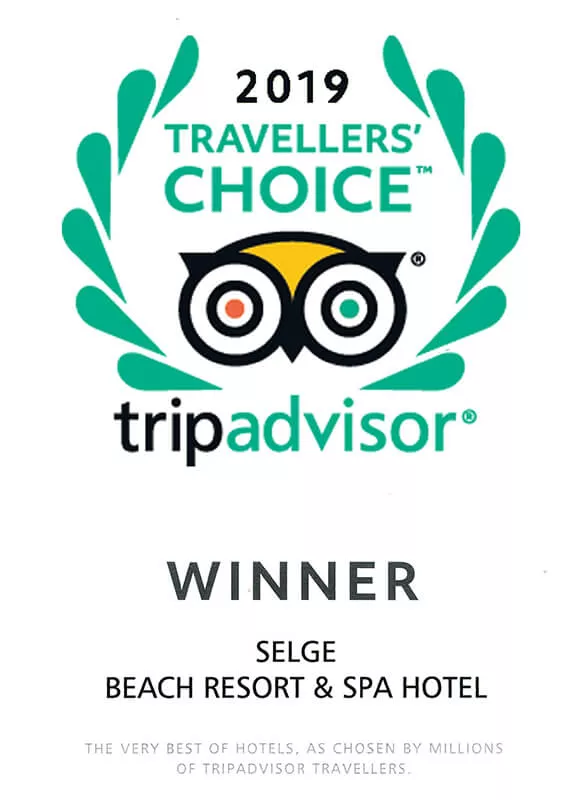 2019 Trip Advisor Winner