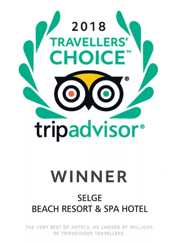 2018 Trip Advisor Winner