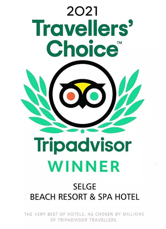2021 Trip Advisor Winner