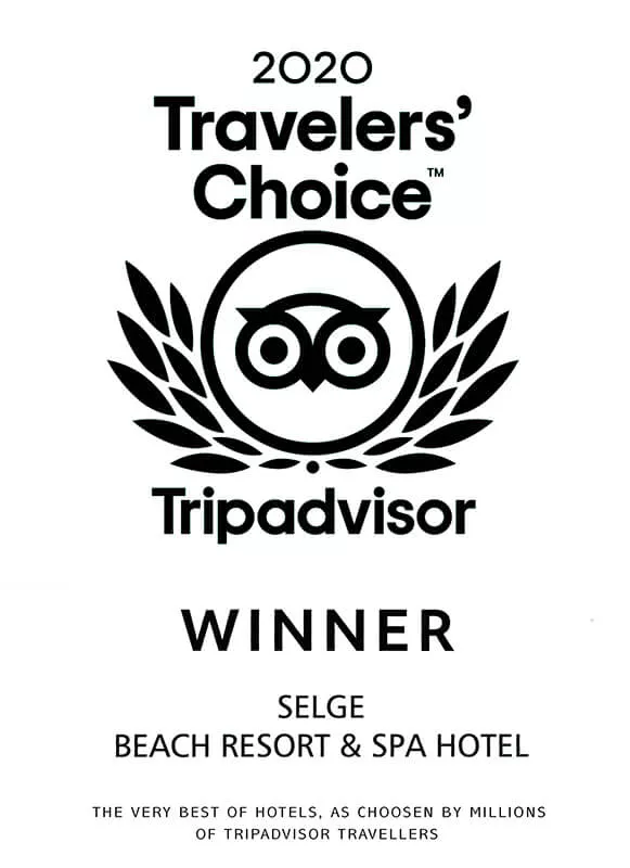 2020 Trip Advisor Winner